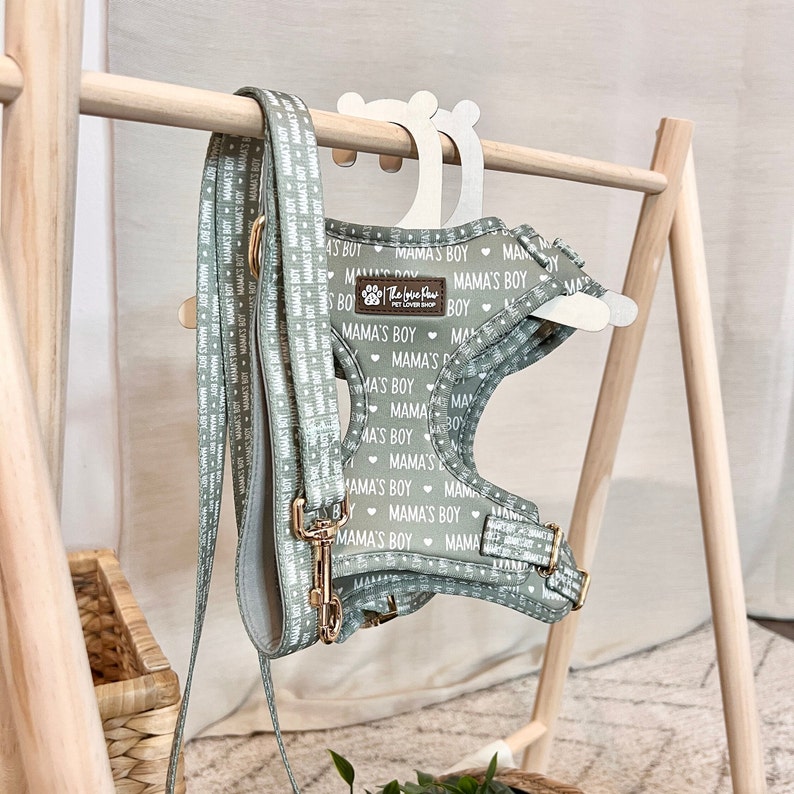 May include: A green dog harness with a white pattern that says "Mama's Boy" and a gold metal clasp. The harness is hanging on a wooden rack.