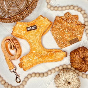 Autumn Leaves Dog Harness, Fall Vibes Dog Accessory, Autumn Dog Harness, Fall Leaves Stylish Pattern, Soft And Durable Dog , Gold Buckles