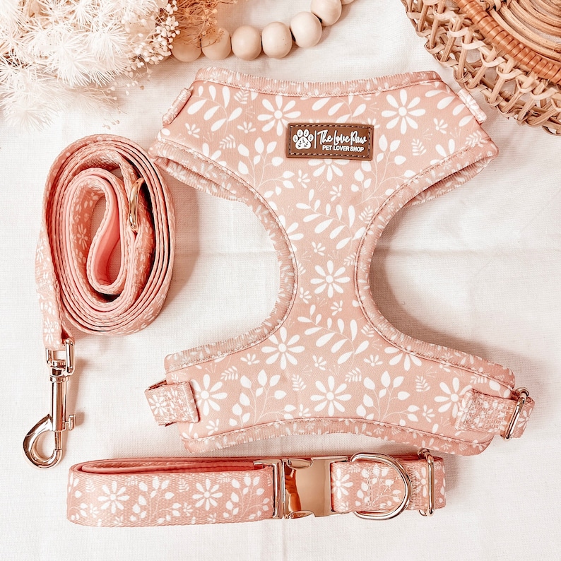 May include: A pink dog harness and leash set with a white floral pattern. The harness has a brown label that says "The Love Paws Pet Lover Shop".