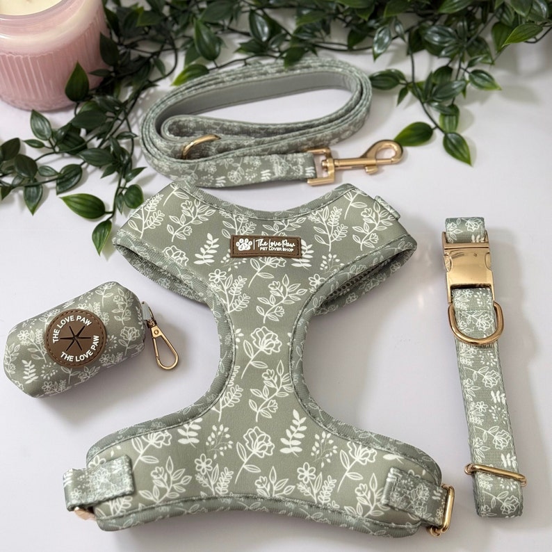 Sage Grün Boho Hundegeschirr, niedliches Hundezubehör, Mädchen / Jungen Hundegeschirr, Blumenstilvolles Muster, weicher und haltbarer Hund, goldene Schnallen Bild 6