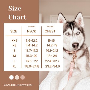May include: Size chart for dog harnesses, showing neck and chest measurements in inches for sizes XXS to XL. The chart is on a brown background with a white husky dog wearing a pink harness.