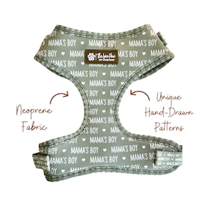 Mama's Boy Dog Harness, Sage Green Cute Dog Accessory, Boy Dog Harness, Stylish Pattern, Cute Cat Harness, Dog Harness and Leash Set