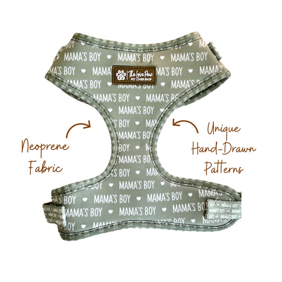 Cute boy dog harness discount