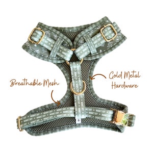May include: A green dog harness with gold metal hardware and breathable mesh. The harness has the text "Mama's Boy" repeated on the straps.