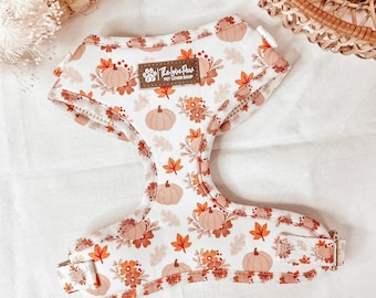 Pumpkin Patch Boho Dog Harness, Cute Fall Dog Accessory, Girl Dog Harness, Autumn Stylish Pattern, Soft And Durable Dog , Gold Buckles