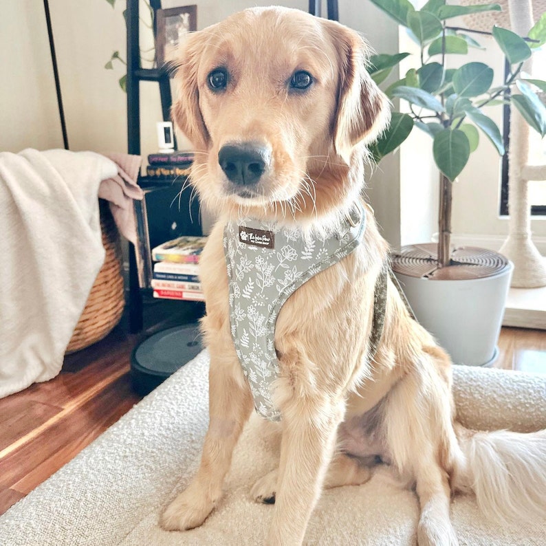 Sage Grün Boho Hundegeschirr, niedliches Hundezubehör, Mädchen / Jungen Hundegeschirr, Blumenstilvolles Muster, weicher und haltbarer Hund, goldene Schnallen Bild 7