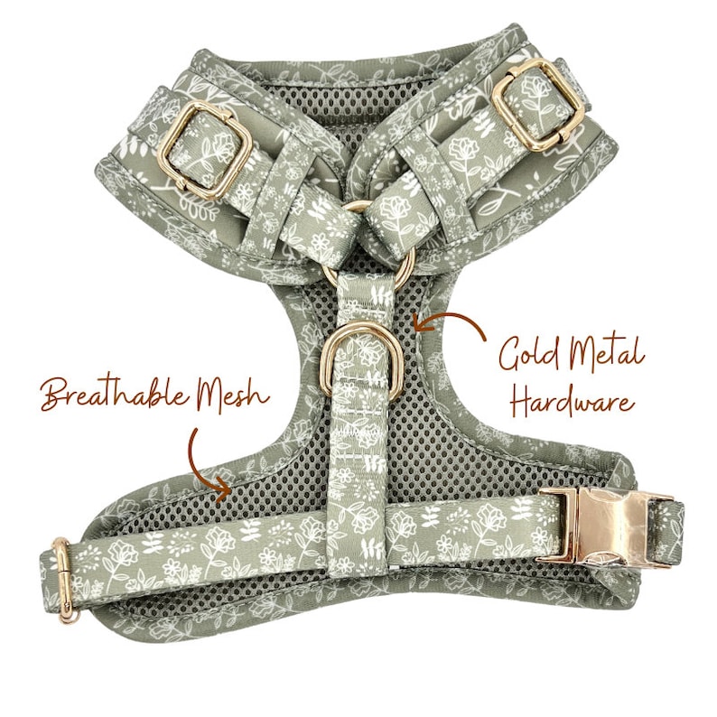 Sage Grün Boho Hundegeschirr, niedliches Hundezubehör, Mädchen / Jungen Hundegeschirr, Blumenstilvolles Muster, weicher und haltbarer Hund, goldene Schnallen Bild 2