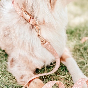 Op de afbeelding: Een roze hondenhalsband met een bloemenpatroon en gouden hardware is bevestigd aan een bijpassende roze riem met een bloemenpatroon.