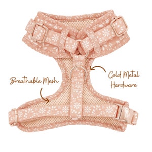 May include: A pink floral dog harness with gold metal hardware and breathable mesh lining.