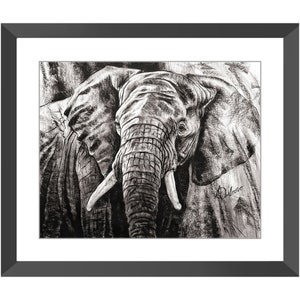 Framed Print - Elephant