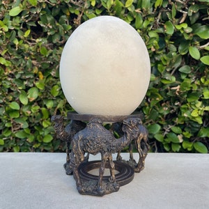 Hollowed Ostrich Egg with Camel Base