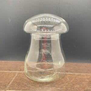 Libbey Terrarium - Etsy