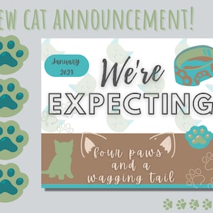 Cat Announcement | New Kitten Announcement | New Family Cat Announcement | New Kitten Announcement | Facebook Announcement for New Kitten
