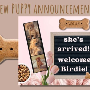 Puppy Birth Announcement | New Puppy Girl Announcement | Welcome Home Puppy | Puppy Milestone Facebook Post | Monthly Puppy Update FB Post