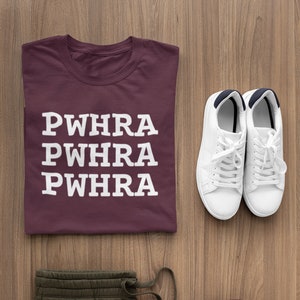 Funny Stenography Shirt, Court Reporter T-Shirt, Gift for Court Reporter, Court Reporting Student, Steno Swag, Steno Tee