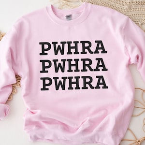 Court Reporter Sweatshirt, Stenography Sweatshirt, Court Reporter Sweatshirt, Geschenk für Court Reporter, Court Reporter Student, Steno Swag