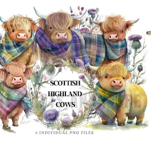 Scottish Highland Cows and Thistles PNG, Cow Clip Art, Thistles Art, 9 Individual PNG files,  Sublimation, Instant Digital Download,