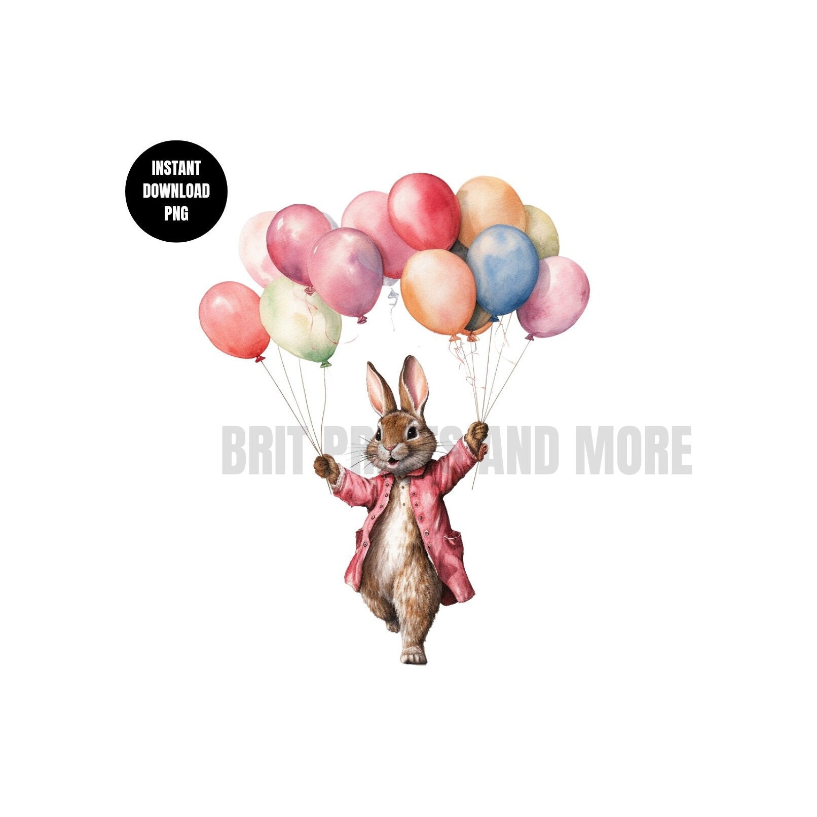 Peter Rabbit With Balloon Image Peter Rabbit Birthday Balloons PNG, Pink Jacket Flopsy Rabbit Birthday ...