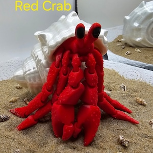Herman the Hermit Crab Realistic ADHD Sensory Fidget Toy with Magnetic Shell (Small parts not for young children)