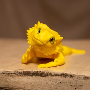 Bearded Dragon Articulated Fidget Toy ADHD Sensory Lizard with Fun Realistic Eyes Multiple Sizes Colors Eye Designs (Small Parts)