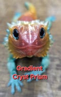 Bearded Dragon Adorable Articulated Lizard Sensory fidget companion with Fun Realistic Eyes Multiple Sizes Colors Eye Designs (Small Parts)