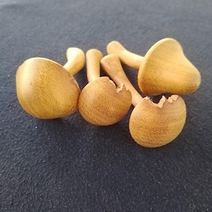 Handcrafted Wooden Mushrooms,Decorative Wooden Mushrooms,Rustic Wood Mushrooms,Indoor Wooden Mushroom Decor,Artisanal Eco-Friendly Mushrooms