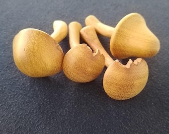 Handcrafted Wooden Mushrooms,Decorative Wooden Mushrooms,Rustic Wood Mushrooms,Indoor Wooden Mushroom Decor,Artisanal Eco-Friendly Mushrooms