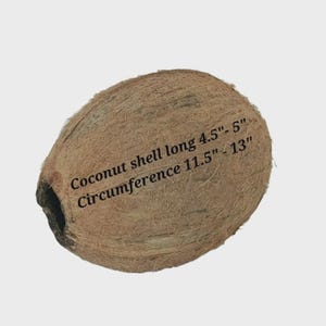 Empty Coconut Shell,Whole Coconut Shell,Coconut Shell Crafts,Coconut Shell Uses,Coconut Shell DIY,Coconut Shell Projects,Coconut Shell Ideas