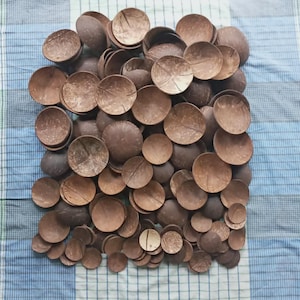 25 pieces of Various sizes 100% natural coconut shells|Coconut shell |Bulk Eco-Friendly Coconut Shell|Raw Coconut Shell|DIY Craft Supplies