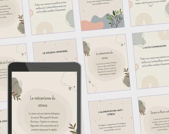 Complete pack of 60 Canva Instagram templates: Stress, Burnout and Career Change (French)