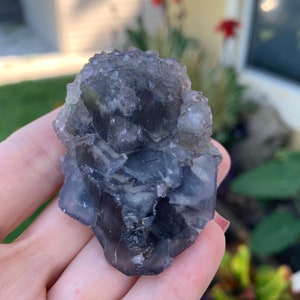 Op de afbeelding: Een cluster van paarse fluorietkristallen. De kristallen hebben een doorschijnend uiterlijk met verschillende tinten paars en grijstinten. De fluoriet wordt in een hand gehouden, met een vage buitenachtergrond.