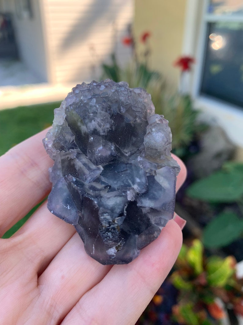 Op de afbeelding: Een cluster van paarse fluorietkristallen. De kristallen hebben een doorschijnend uiterlijk met verschillende tinten paars en grijstinten. De fluoriet wordt in een hand gehouden, met een vage buitenachtergrond.