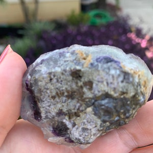 Op de afbeelding: Een ruwe, natuurlijke fluorietkristal met een mix van kleuren. De steen heeft gebieden met doorschijnend paars, grijs en bruin. Het kristal wordt in een hand gehouden, met een vage buitenachtergrond.