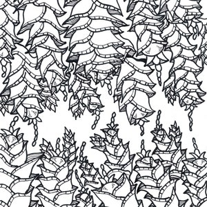 PRINTABLE Floral Zentangle Colouring Pages 10 Pack - Etsy