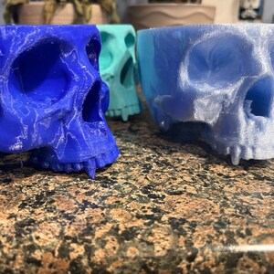 May include: Two 3D printed skull planters, one blue and one light blue. The planters are made of a textured plastic and have a detailed skull design.