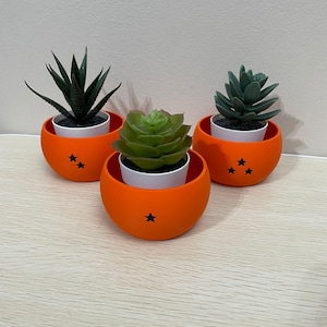 May include: Three orange ceramic planters with black stars, each containing a small green succulent plant.