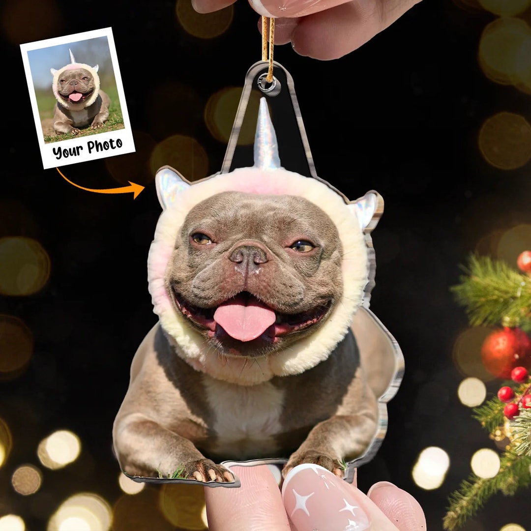 Personalized Acrylic Dog Funny Photo Ornament Acrylic Custom - Etsy