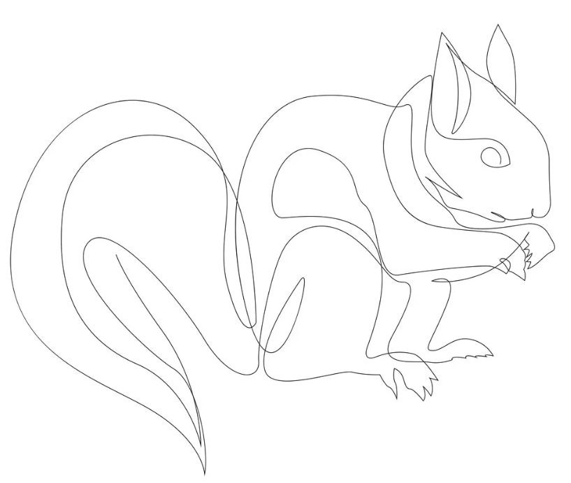 One Line Squirrel Drawing Squirrel in Minimal Image - Etsy UK One Line Squirrel Drawing Squirrel in Minimal Image - Etsy UK