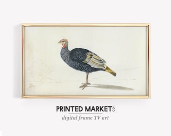 Vintage Turkey Art for Samsung Frame TV Fall Farmhouse Decor