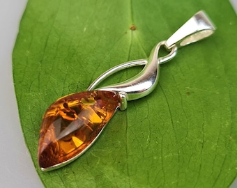 May include: A silver pendant with a teardrop-shaped amber stone. The pendant is on a green leaf.