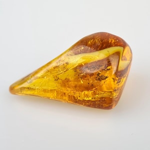 Huge Inclusion in Amber, Insect in Natural Baltic Amber, Rare Stone for Collection, Gemstone Craft Supplies, Lithuanian Amber, Birthday Gift