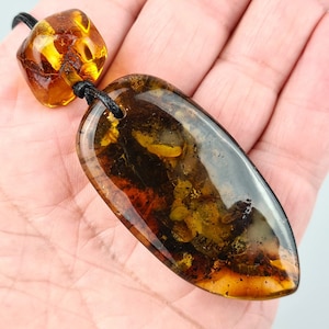 Amber Pendant, Baltic Amber Amulet, No Metal Pendant, Baltic Amber Gift, Bug in Amber, Rare Lithuanian Amber Amulet, Bernstein Einschlusse
