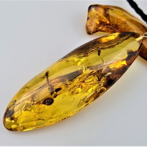 Pendentif fait main en ambre de la Baltique : pierre précieuse en forme de larme avec inclusion d&#39;insectes