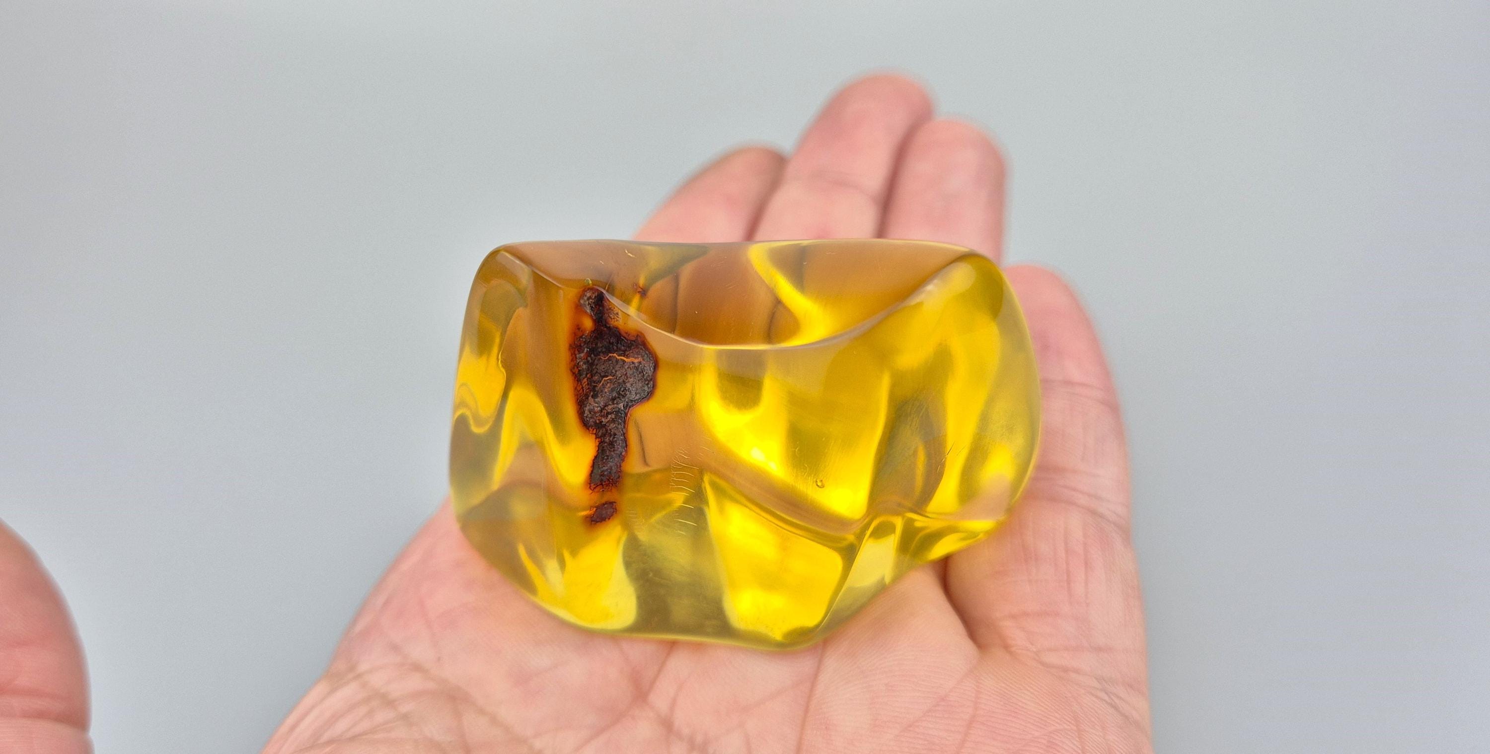 Natural Amber Stone With Insects: Lithuanian Gemstone Souvenir - Etsy