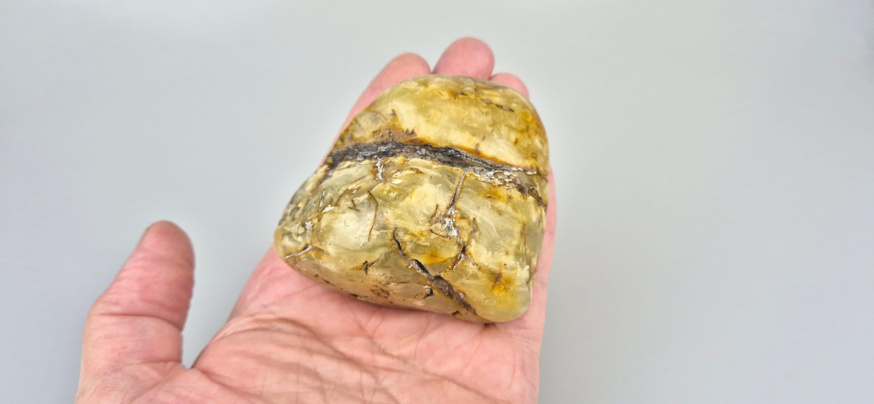 Collectible Baltic Amber Stone: Tree Inclusion, Lithuanian Jewelry Gift ...