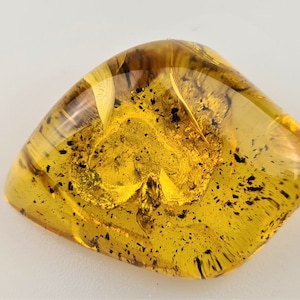 Fly in Amber Insect, Inclusion in Amber, Fossiled Amber, Baltic Amber Insect, Bug in Amber, Rare Collectible Stone, Bernstein Einschlusse
