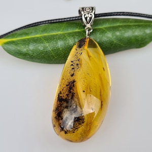 Amber Pendant With Insect, Handmade Rare Jewelry, Green Baltic Amber Cabochon, Amber Pendant, Pendant of Gemstone, Teardrop Amber Cameo Gift