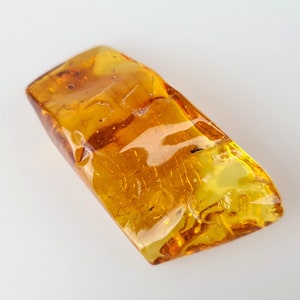 Medium Amber Insect, Inclusion in Amber, Fossiled Amber, Baltic Amber Insect, Bug in Amber, Rare Collectible Stone, Bernstein Einschlusse