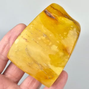 Rare Collectible Stone, Big Amber Stone, Baltic Amber Insect, Tree Inclusion in Amber, Fossiled Amber, Bug in Amber, Bernstein Einschlusse