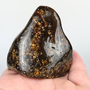 Amber Stone, Tree Inclusion in Amber, Fossiled Amber, Baltic Amber Insect, Bug in Amber, Rare Collectible Stone, Bernstein Einschlusse, Gift